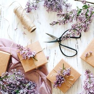 Procurements for Josefina